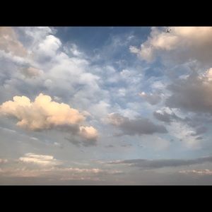 Meet your Posher, Francesca